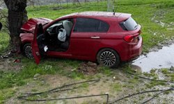 Siirt'te ağaca çarpan otomobilin sürücüsü yaralandı