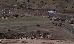 Siirt'te sağanak yağış hayvancılığı olumsuz etkiledi