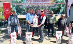 Silajlık mısıra alternatif olan sorgum otu üreticilere dağıtıldı