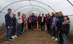 Sinop'ta özel bireylerden fide dikimi etkinliği