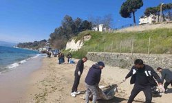 Sinop'ta sahil temizliği