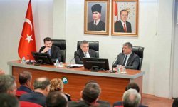 Sinop'ta sokak hayvanları için yol haritası belirlendi