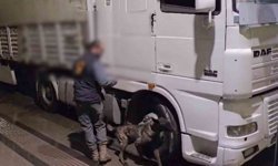 Sivas'ta 12 kilo uyuşturucu ele geçirildi: 2 tutuklama