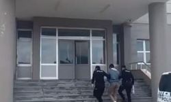 Sivas'ta kamyonette gizlenen 5 kaçak göçmen yakalandı