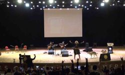 Sivas'ta Nevruz kutlamalarında renkli görüntüler: Sahneye kurtlar çıktı, şahin havada uçtu