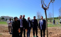 Sivas'ta şehitlerin adı fidanlarda yaşatılacak