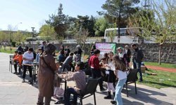 Siverek'te satranç etkinliğine ilgi