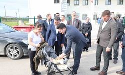 Söğütlü'de semt polikliniği hizmet vermeye başladı