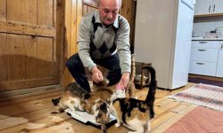 Sokak kedilerine evinin kapısını açtı, onlara yuva oldu