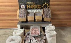 Sultanbeyli'de uyuşturucu operasyonu: 343 bin adet hap ele geçirildi