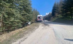 Sürücüsünün direksiyon hâkimiyetini kaybettiği otomobil ormanlık alana savruldu