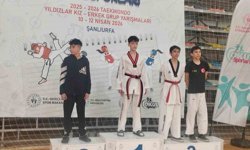 Taekwondo yarı finalinde Niğde rüzgarı