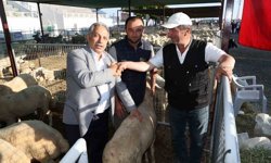 Talas'ta Kurban Pazarı başvuru tarihi belli oldu