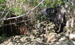 Tarihi konağın duvarı yıkıldı, gerçek ortaya çıktı