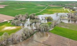 Tarım arazilerini sular altında bırakan Kanak Çayı dronla görüntülendi