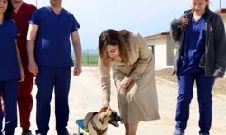 Tekirdağ'da can dostları için 10 bin metrekarelik yaşam alanı