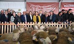Tekirdağ'da küçükbaş hayvancılık festivali