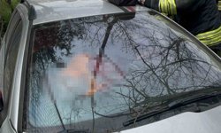 Tekirdağ'da şarampole uçan otomobilin sürücüsü hayatını kaybetti