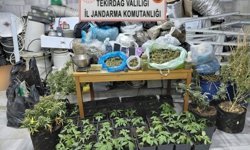 Tekirdağ'da uyuşturucu operasyonu: 1 tutuklama