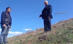 Ters laleyi koparmanın cezası 700 bin TL