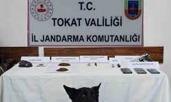 Tokat'ta jandarmadan zehir tacirlerine operasyon: 5 gözaltı
