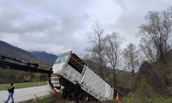 Tokat'ta tır devrildi: 3 kişi yaralandı, 6 hayvan telef oldu