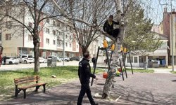 Topu almak için çıktığı ağaçtan inemeyen çocuk itfaiyeden yardım istedi