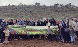 Turgutlulu minikler 250 fidanı toprakla buluşturdu