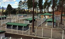 Ünye'de sahipsiz hayvanlar için örnek tesis tamamlanıyor