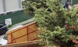 Üsküdar Belediyesi'nin ruhsat verdiği inşaat alanında ağaçlar kesildi