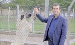 Uzmanı tanımladı, 'Veteriner hekimler gıda zincirinin temel taşı konumundadır'