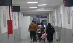 Vali Kalaylı: 'Suriyelilerin gönüllü geri dönüş süreci kesintisiz sürüyor'