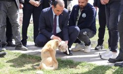 Vali Taşolar, Iğdır Geçici Hayvan Bakımevi'ni ziyaret etti