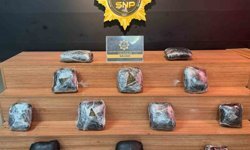 Valizden uyuşturucu madde çıktı