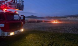 Van'da 2 farklı sazlık alanda yangın çıktı