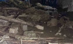 Van'da ahır çöktü: 56 küçükbaş hayvan telef oldu