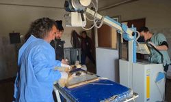 Van'da deprem sonrası enkaz altından yaralı çıkarılan kuzular tedavi altına alındı