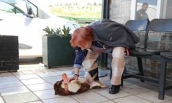 Yalova'da Cevriye teyze can dostu ile duygulandıran buluşma