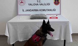 Yalova'da uyuşturucu operasyonunda 1 tutuklama