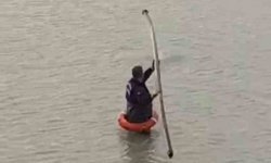 Yapay gölette mahsur kalan tilkiyi itfaiye kurtardı