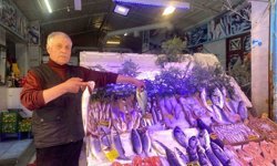 Yasak başladı, balık fiyatlarında henüz bir artış yok