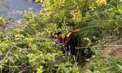 Yayladağı'nda gölete düşen büyükbaş hayvan kurtarıldı