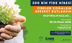 Yeşilyurt Belediyesi 300 bin adet fide dağıtımı yapacak