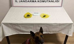 Yol kontrolünde uyuşturucu yakalandı