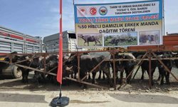 Yozgat'ta 20 manda üreticilere teslim edildi