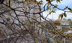 Yozgat'ta çiftçiler zirai don tehlikesine karşı uyarıldı