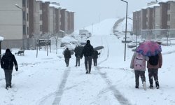 Yüksekova nisan ayında karla kaplandı