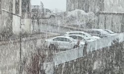 Yüksekova'da kar ve sis etkili oldu: Görüş mesafesi 20 metreye düştü