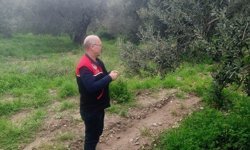 Zararlılara karşı tuzaklar kuruldu