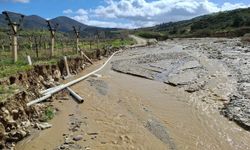 Ziyanlar Mahallesi'nde taşkın alarmı